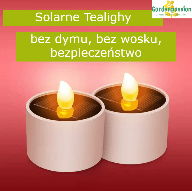 Solarne Tealighty