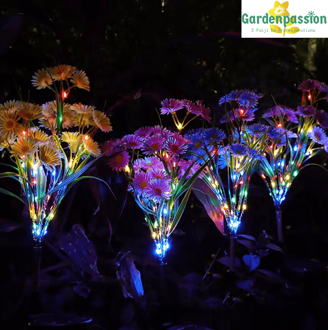 Stokrotki solarne LED